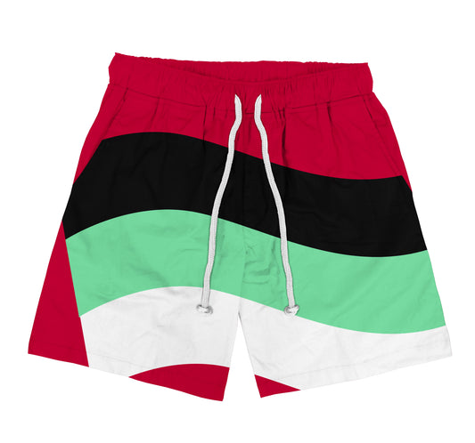 Flag Shorts